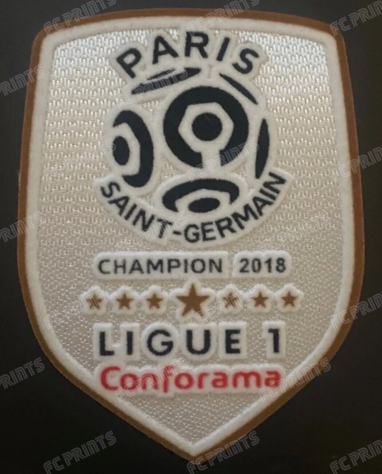 PSG Ligue 1 2018-2019 Football Shirt Patch Badge UK STOCK